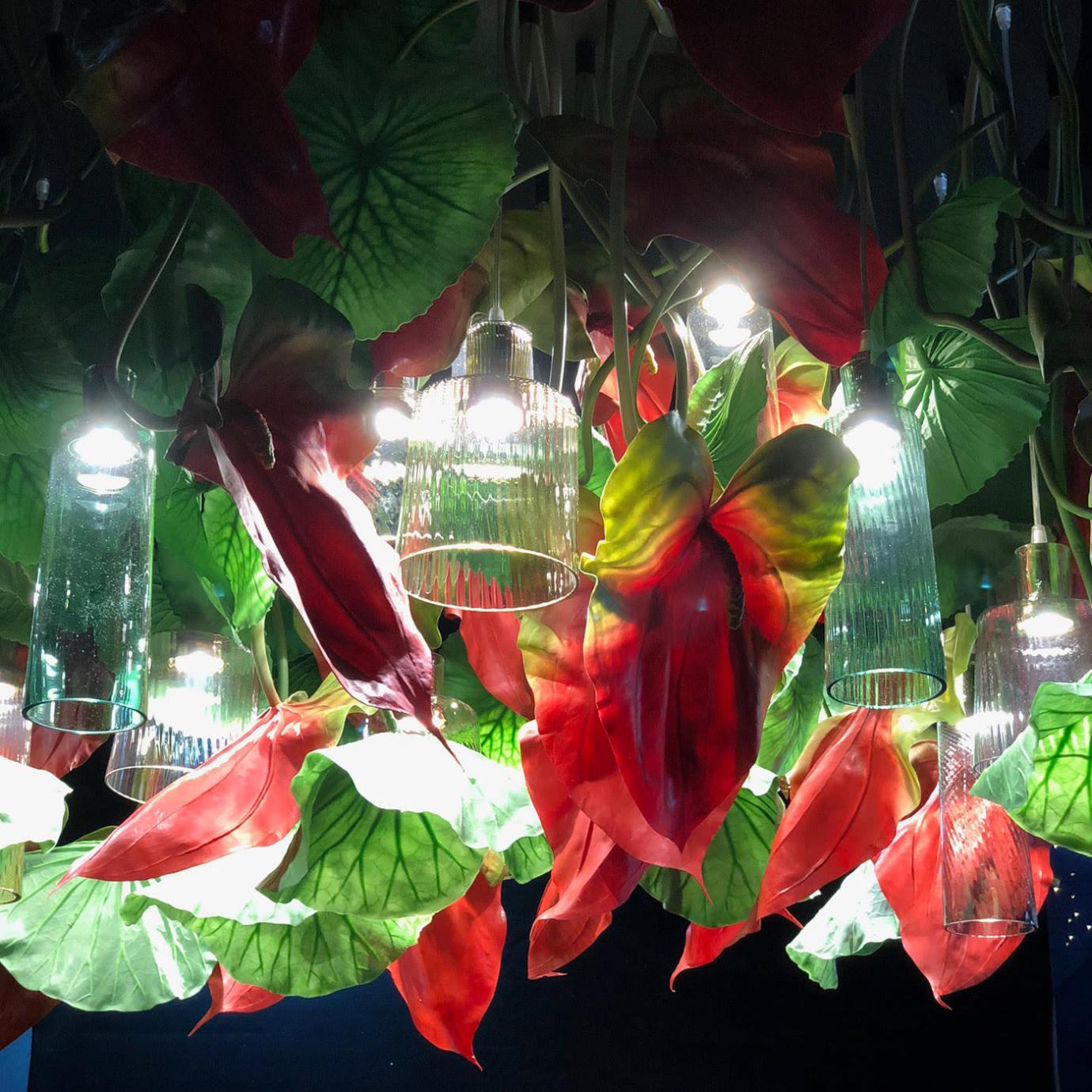 Anthurium kroonluchter