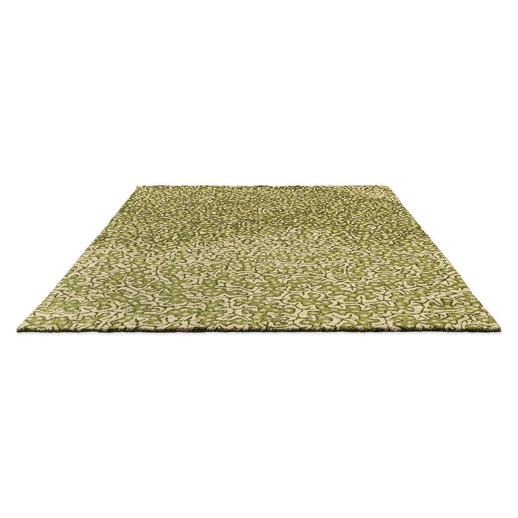 Truffle olijf outdoor tapijt | Maat: 200 × 280 cm