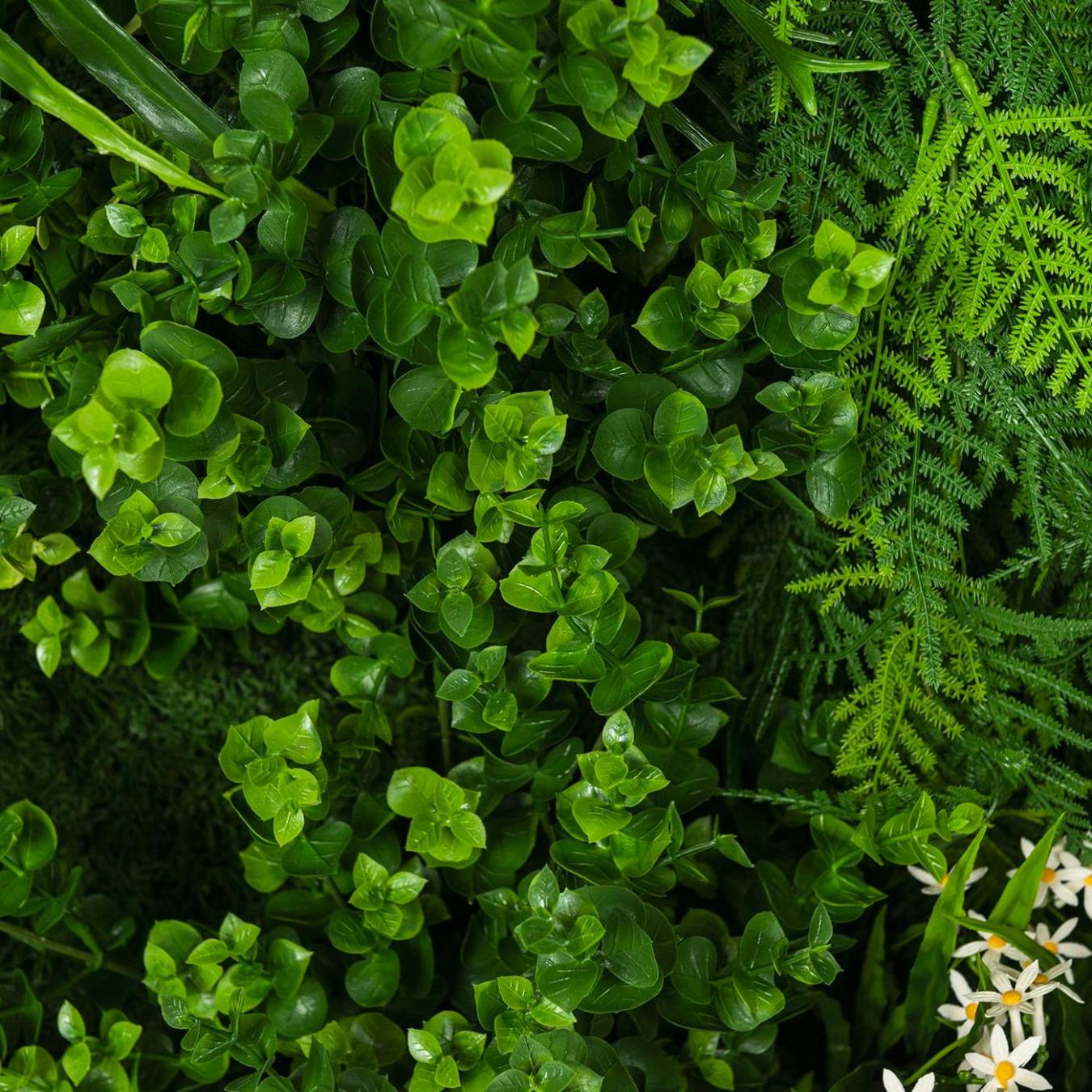 Meleda buitenste groenewandcompositie