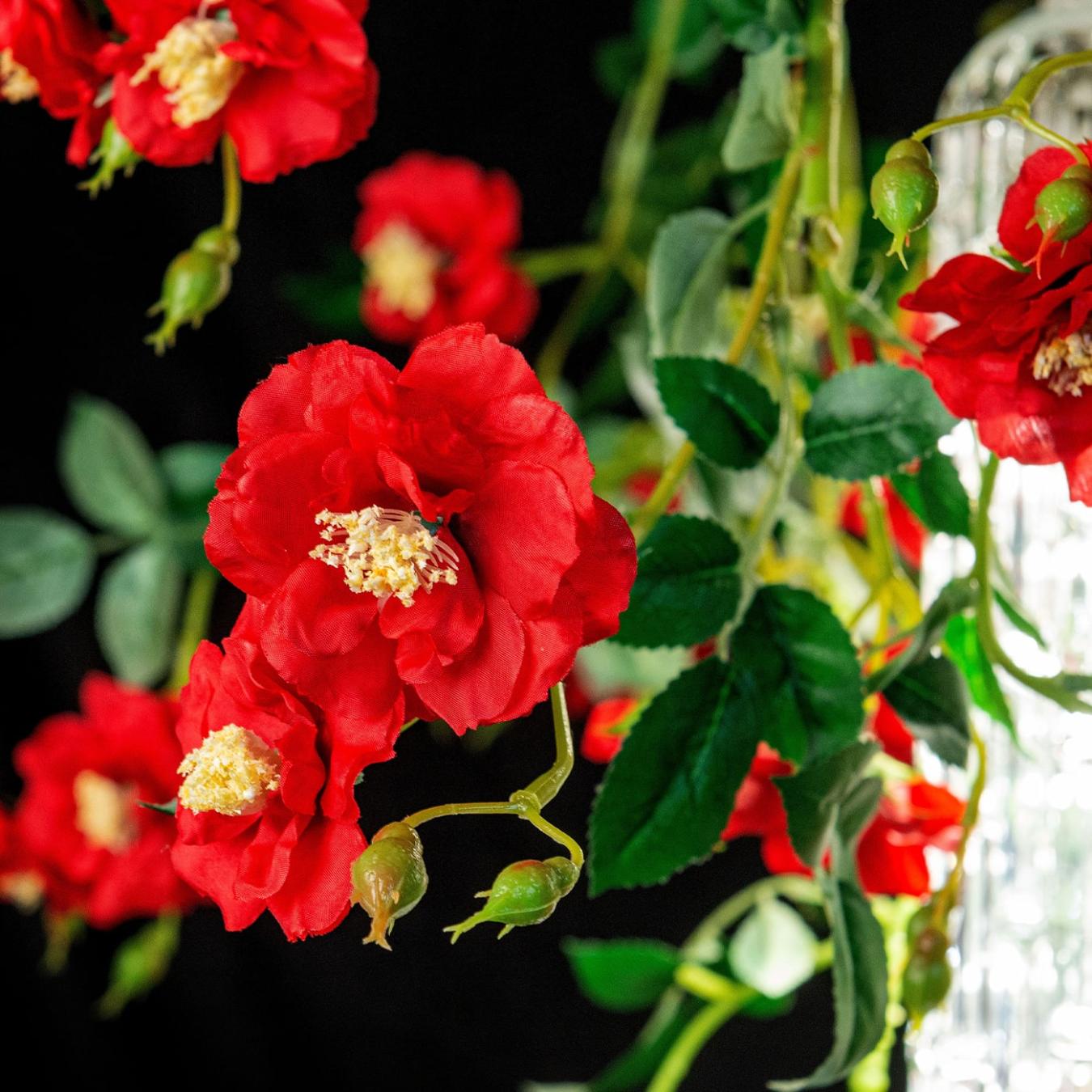 Wil Red Roses grote kroonluchter