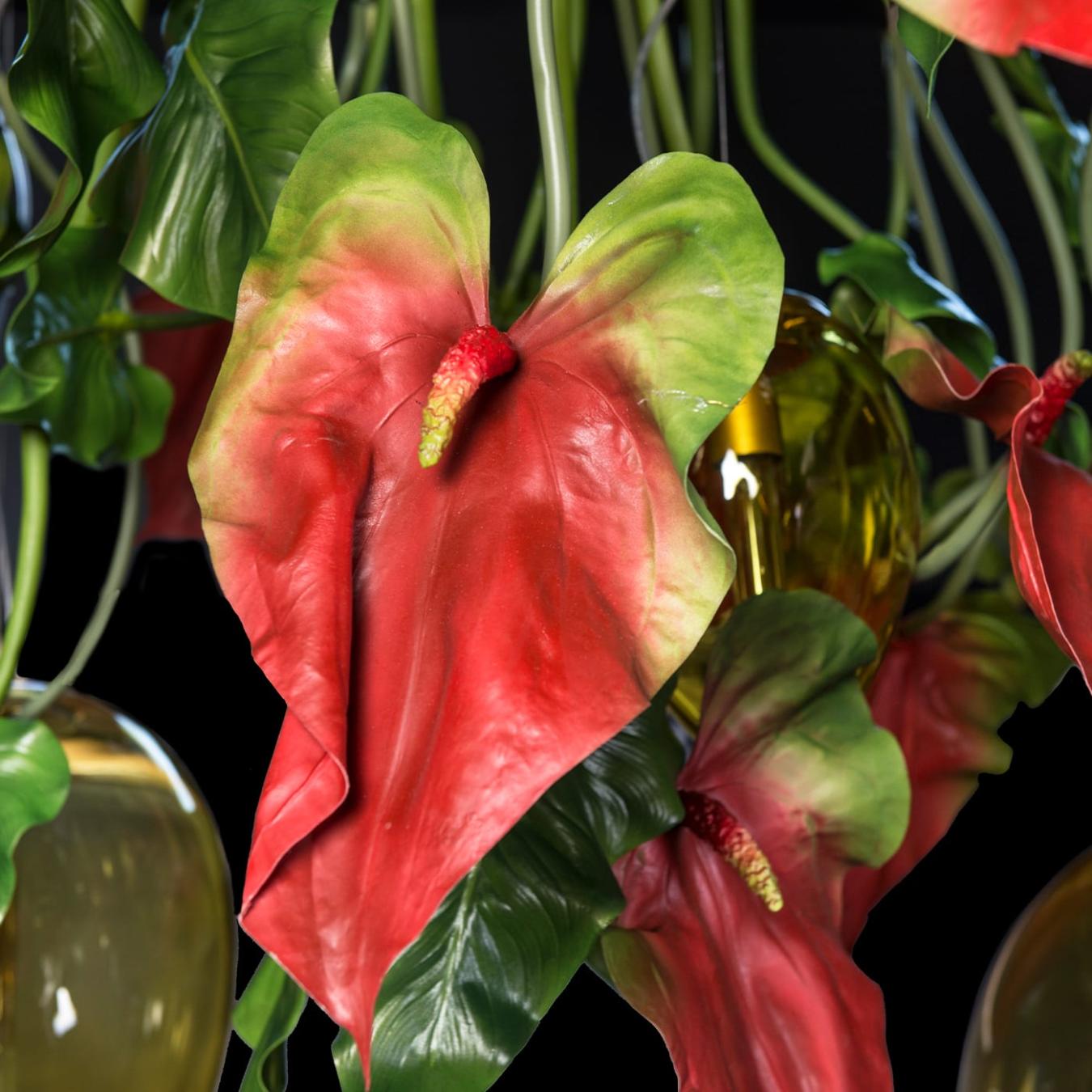 Anthurium donkere kroonluchter