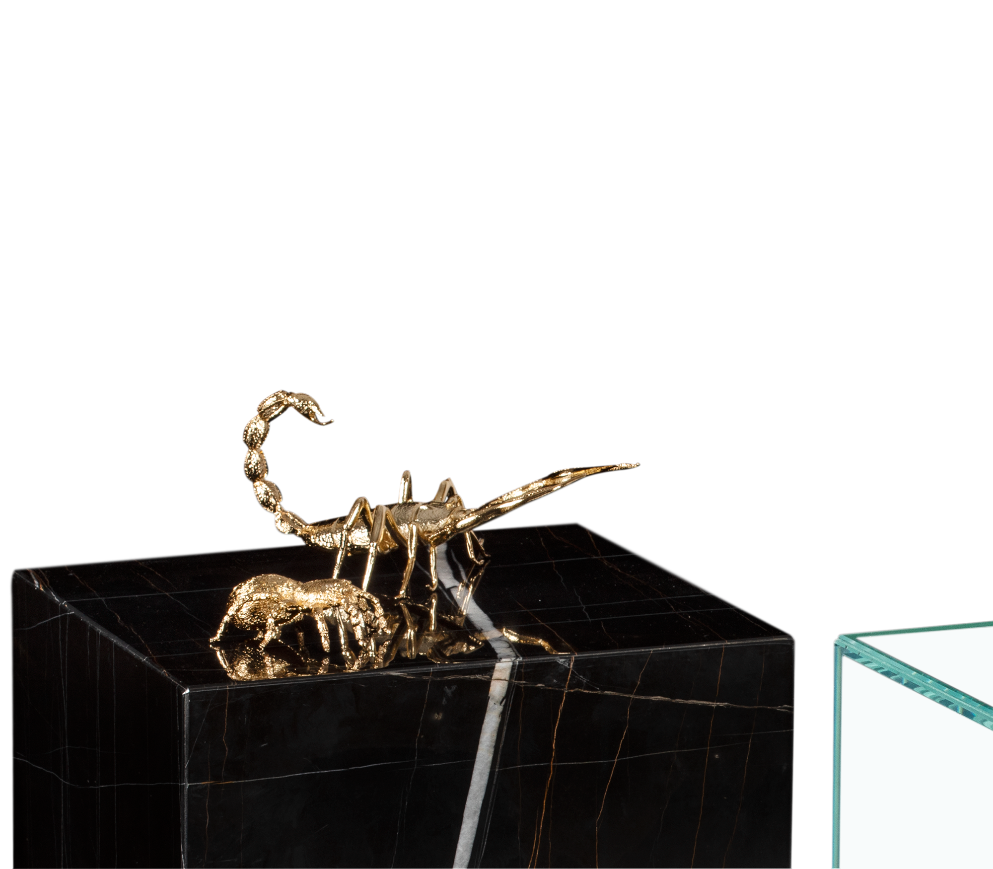 Evolution bijzettafel
