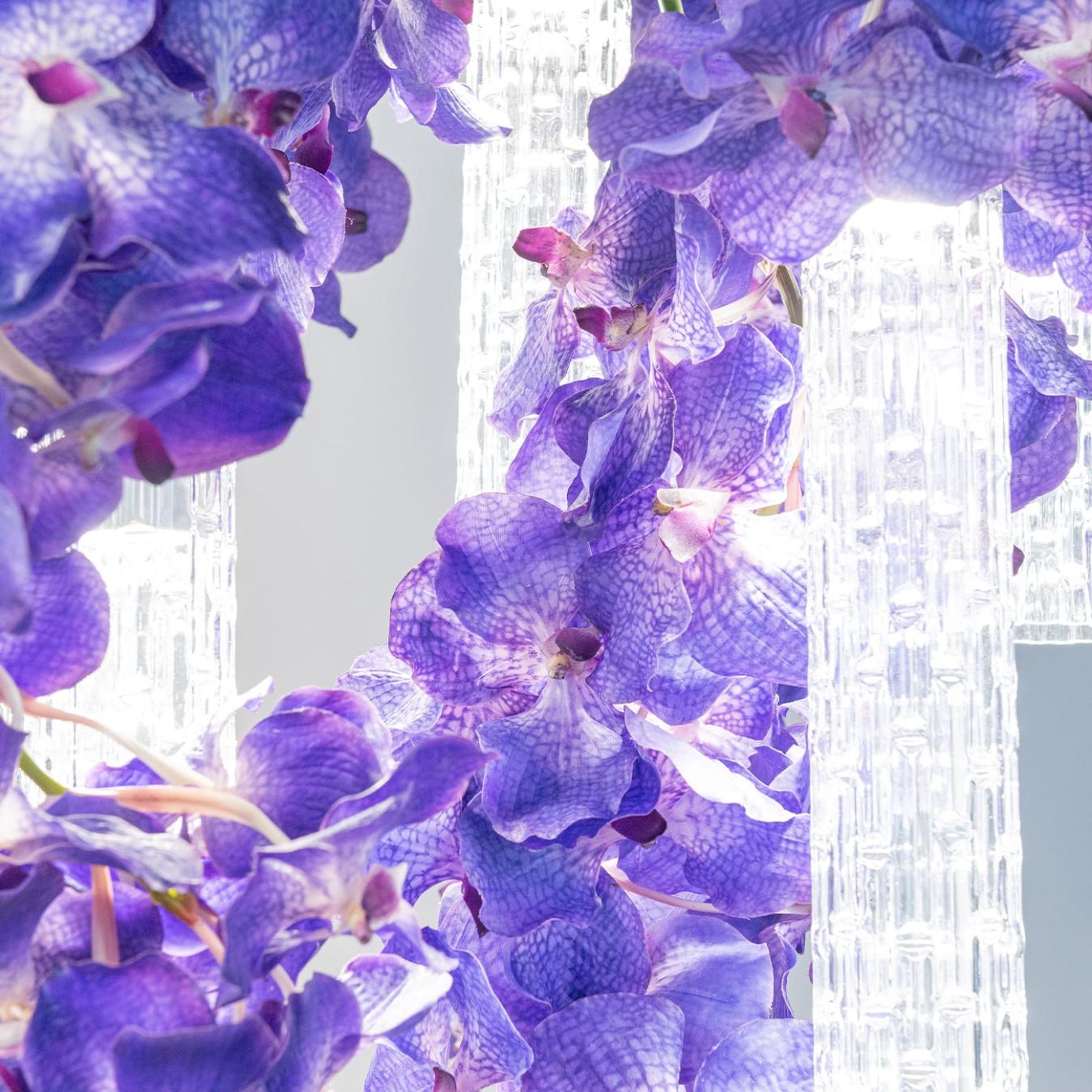 Vanda grote kroonluchter