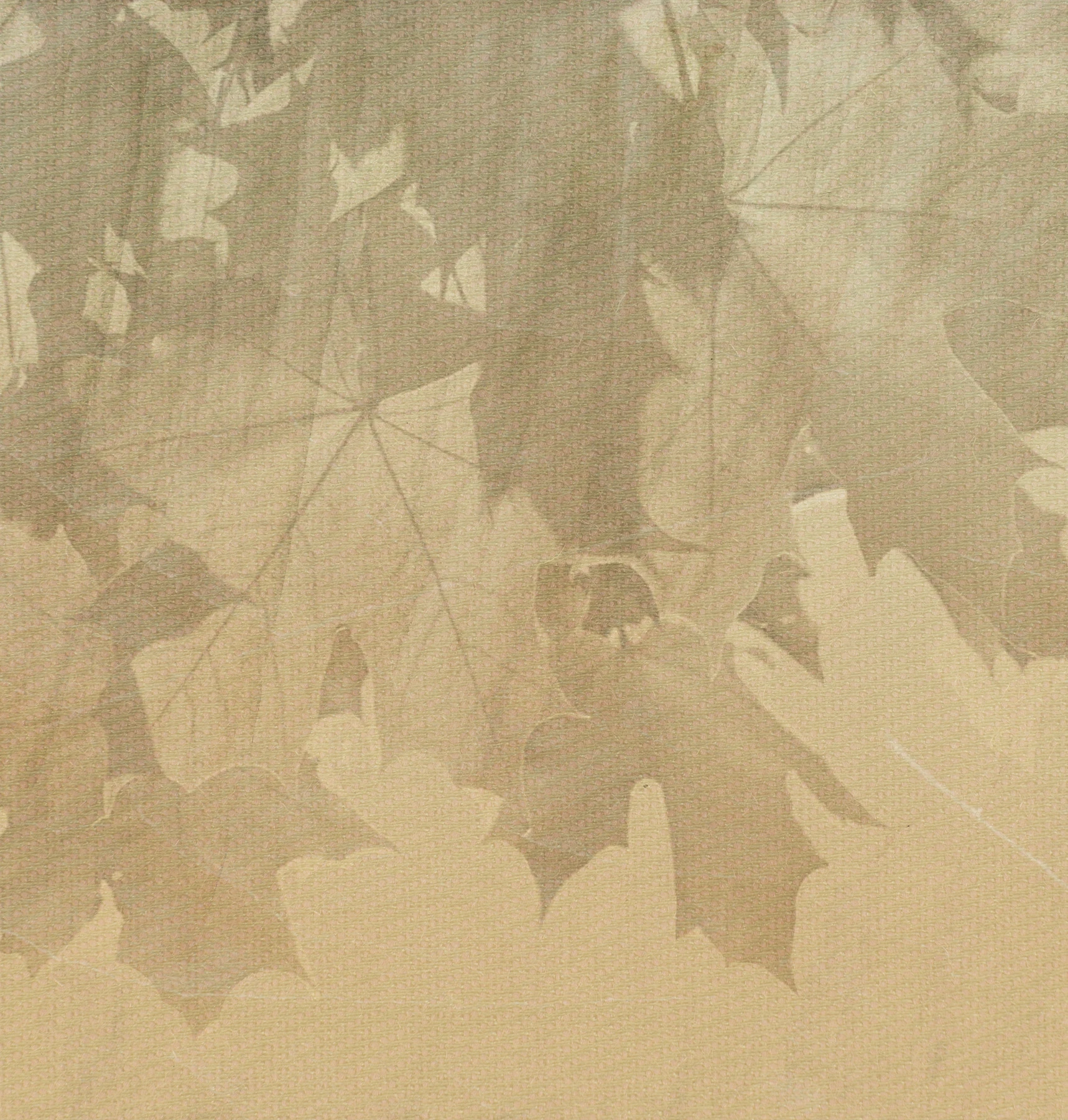 Creative Leaves behang