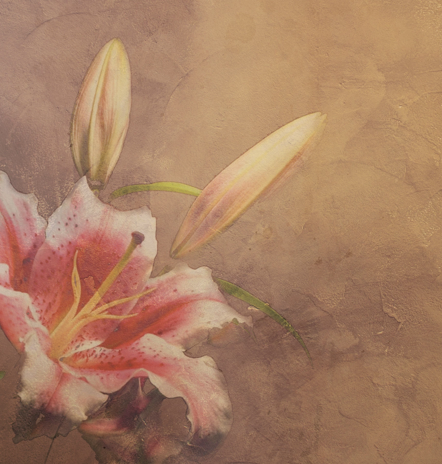 Amaryllis behang