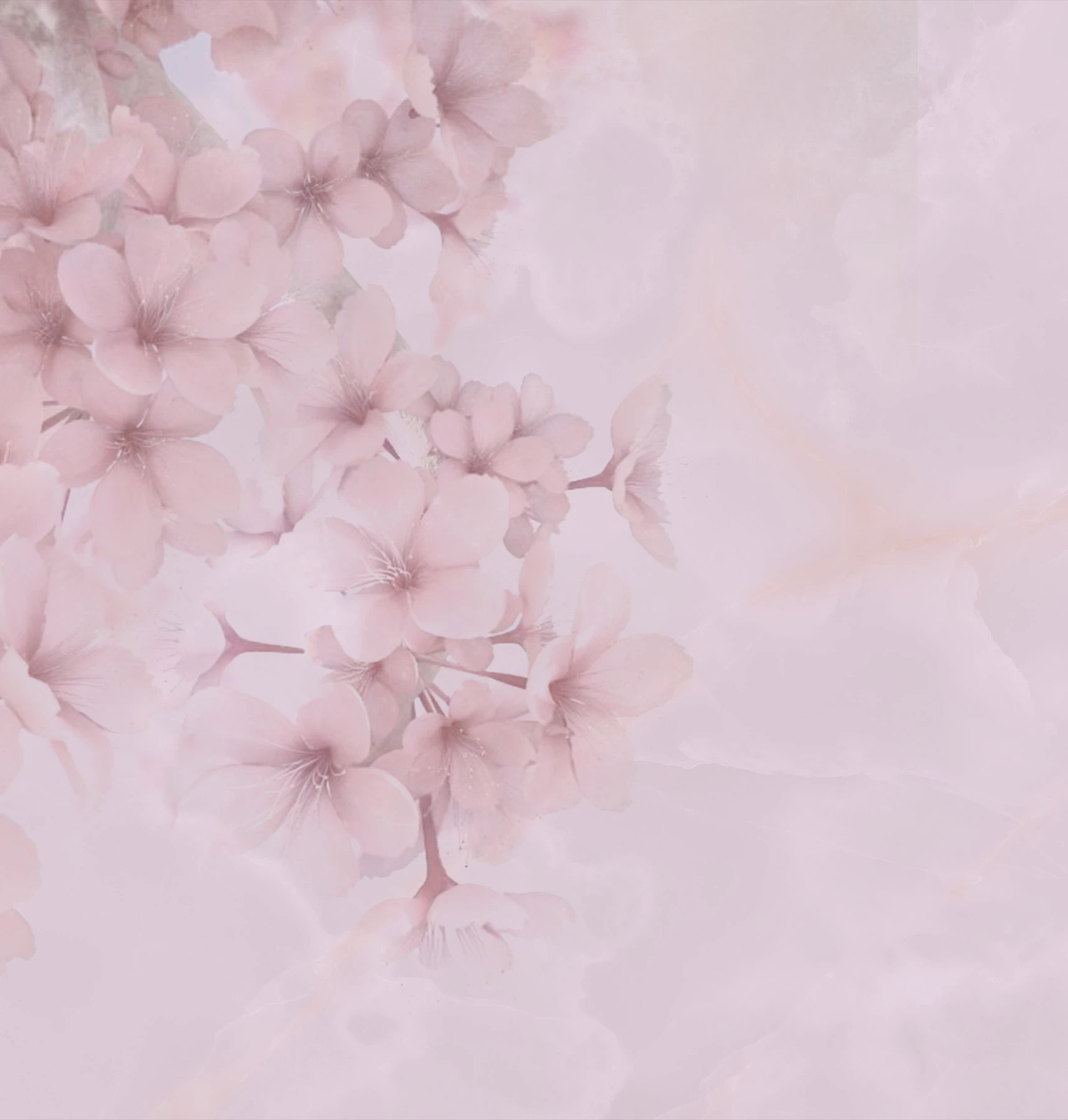 Bloom behang