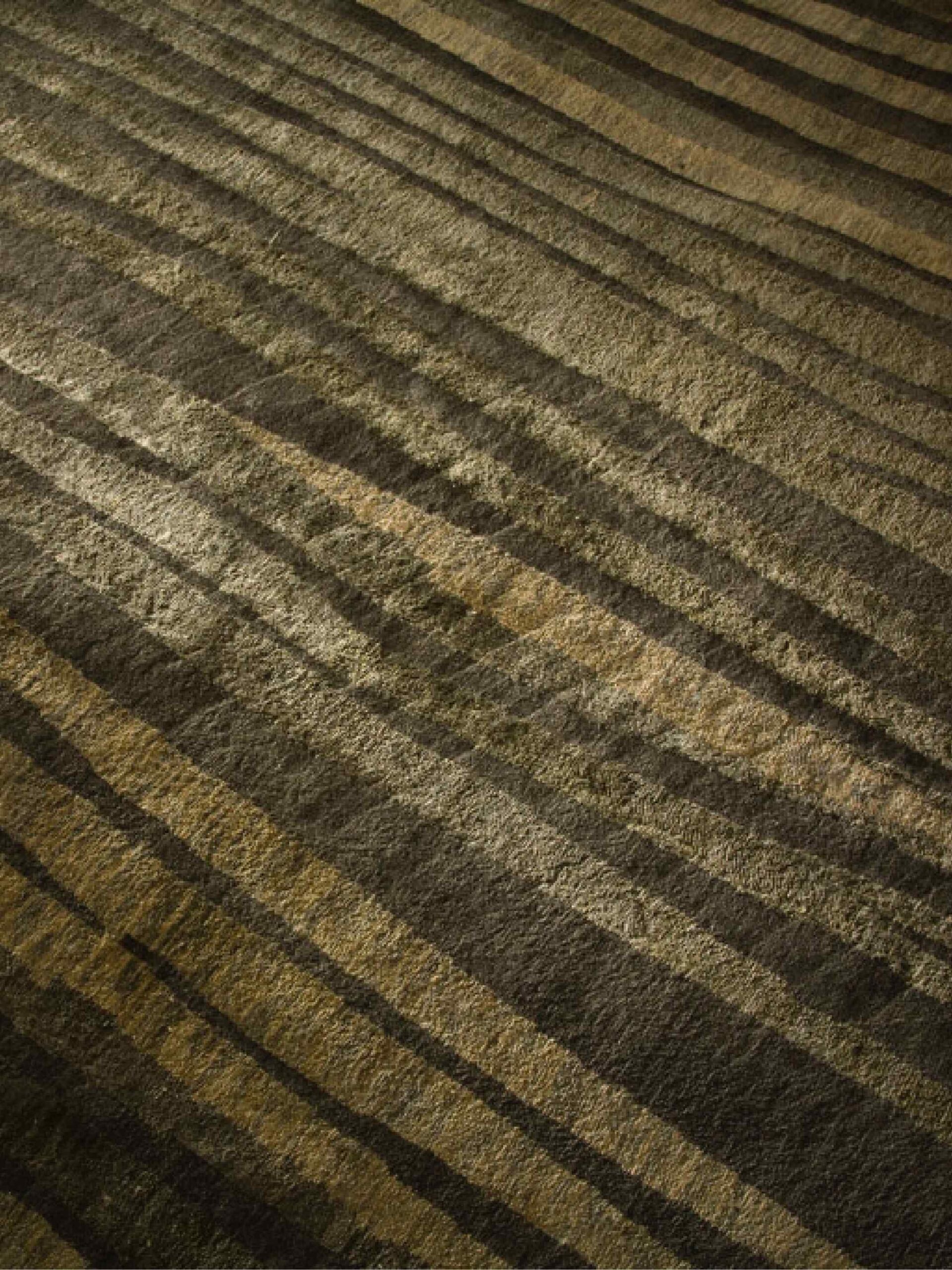 Zen Terre designer tapijt