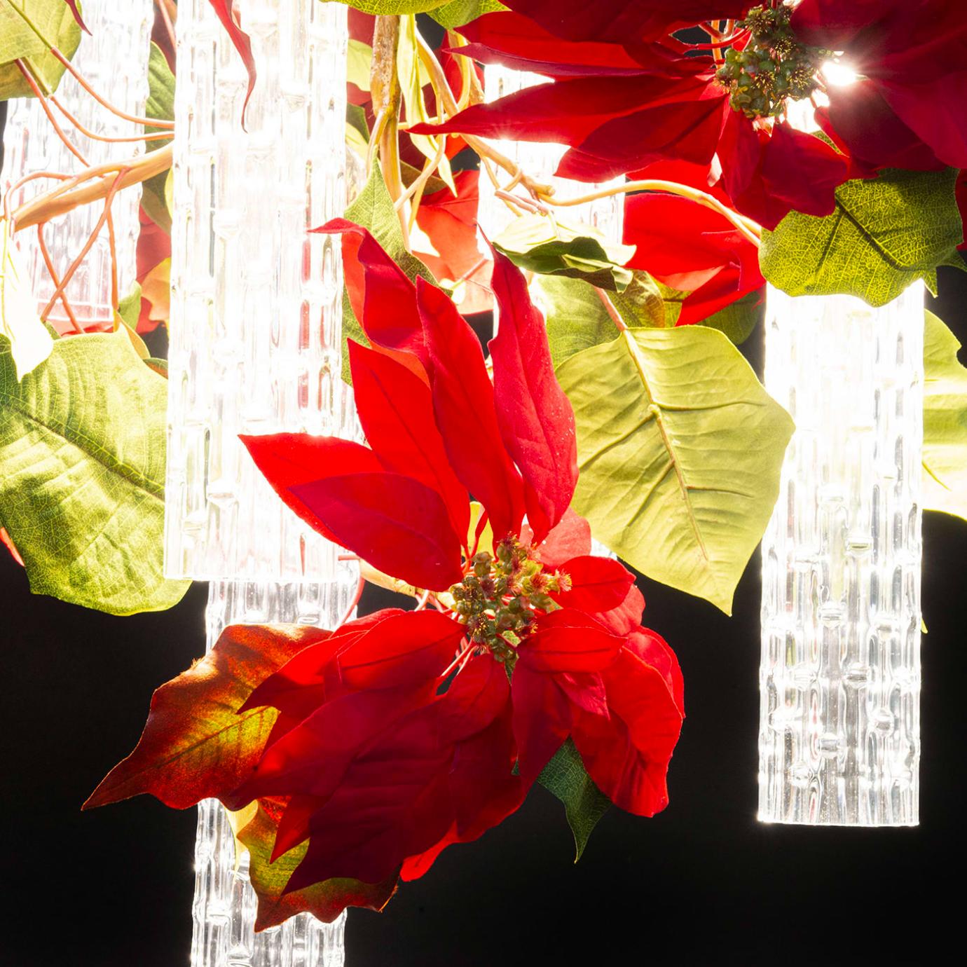 Poinsettia kroonluchter