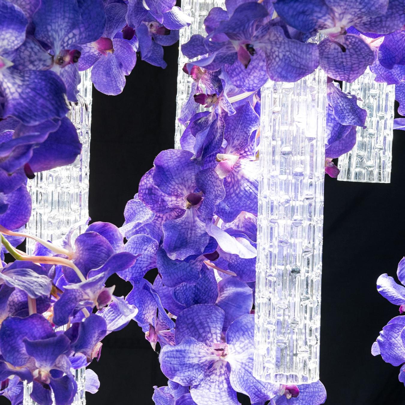 Vanda grote kroonluchter