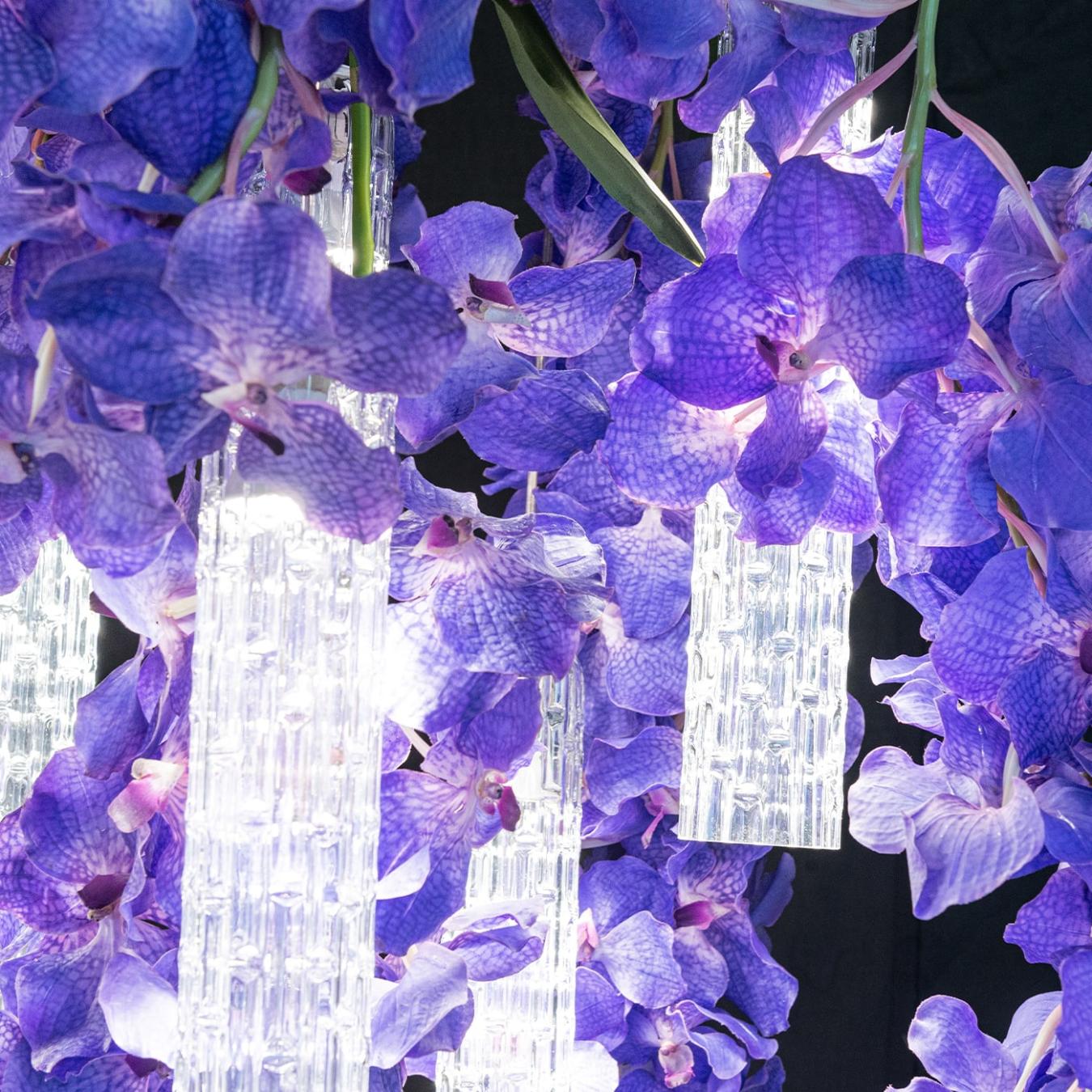 Vanda grote kroonluchter