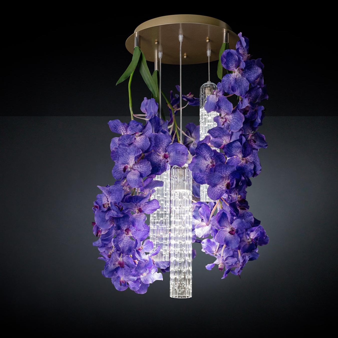 Vanda kleine kroonluchter