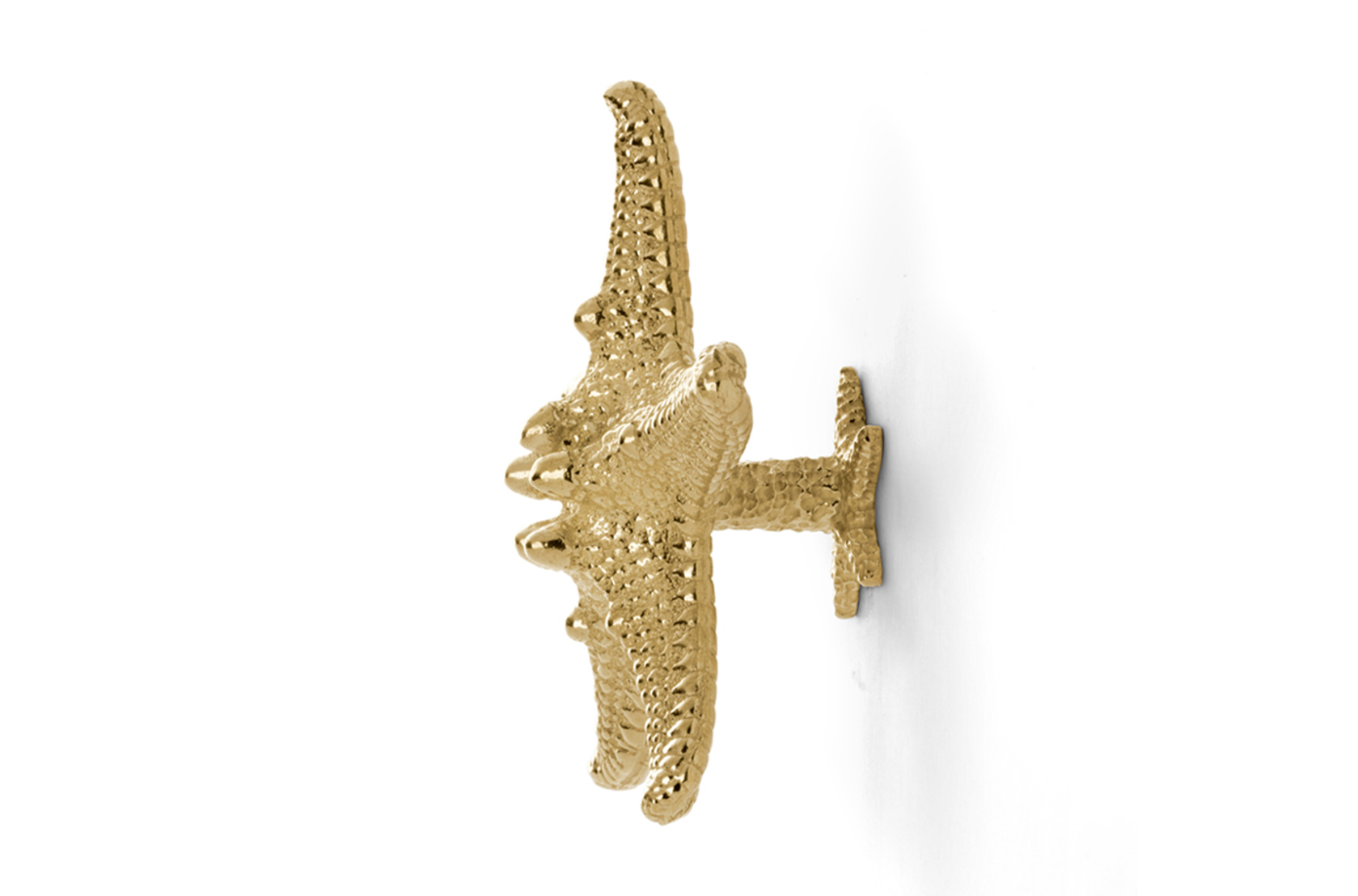 Starfish Linckia handgreep