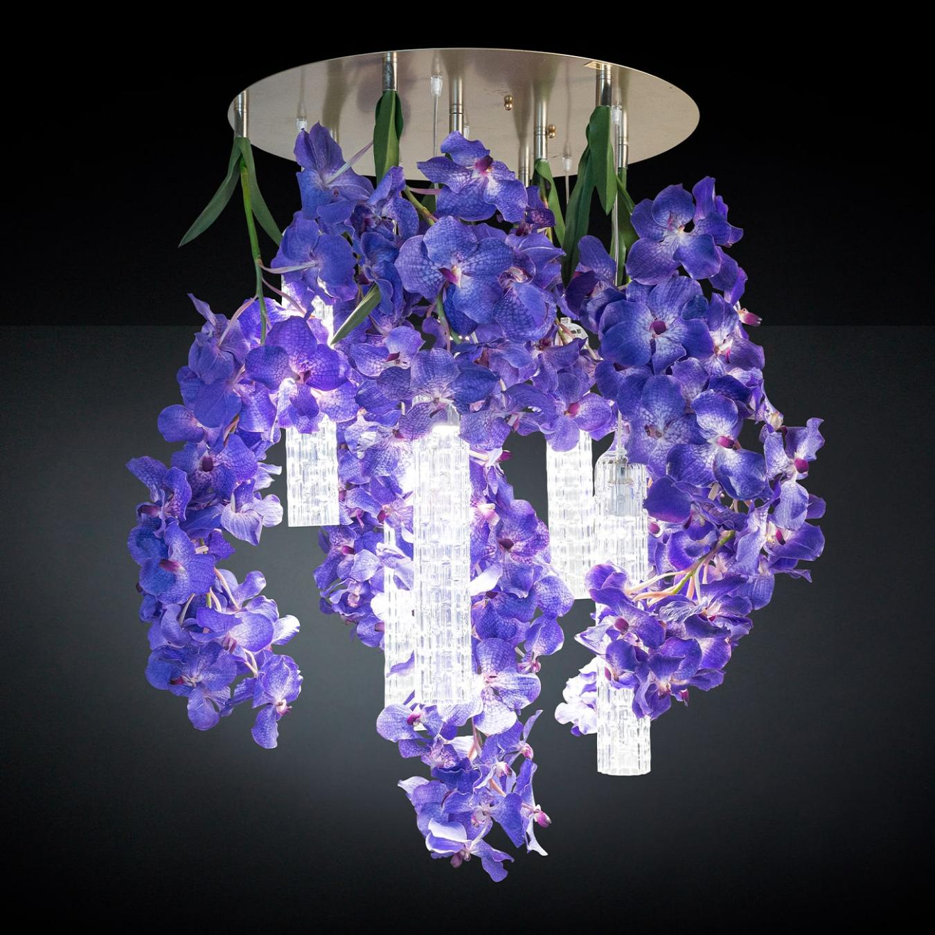 Vanda grote kroonluchter