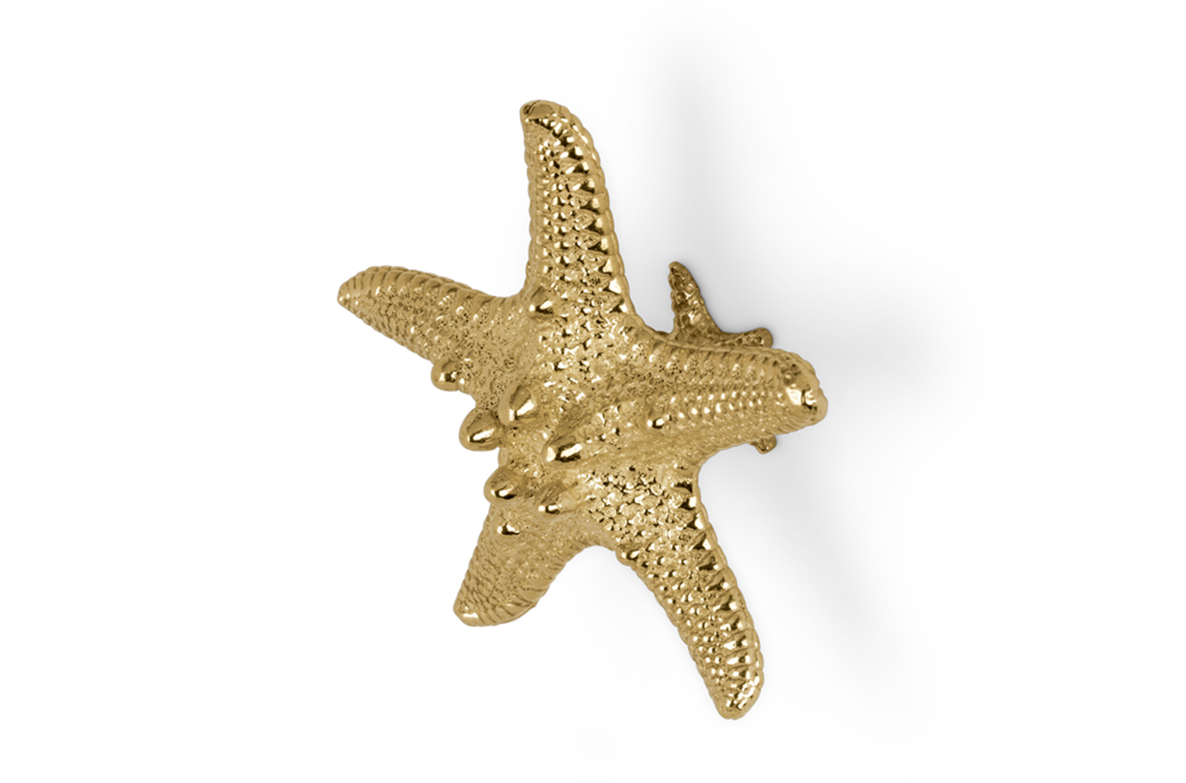 Starfish Linckia handgreep