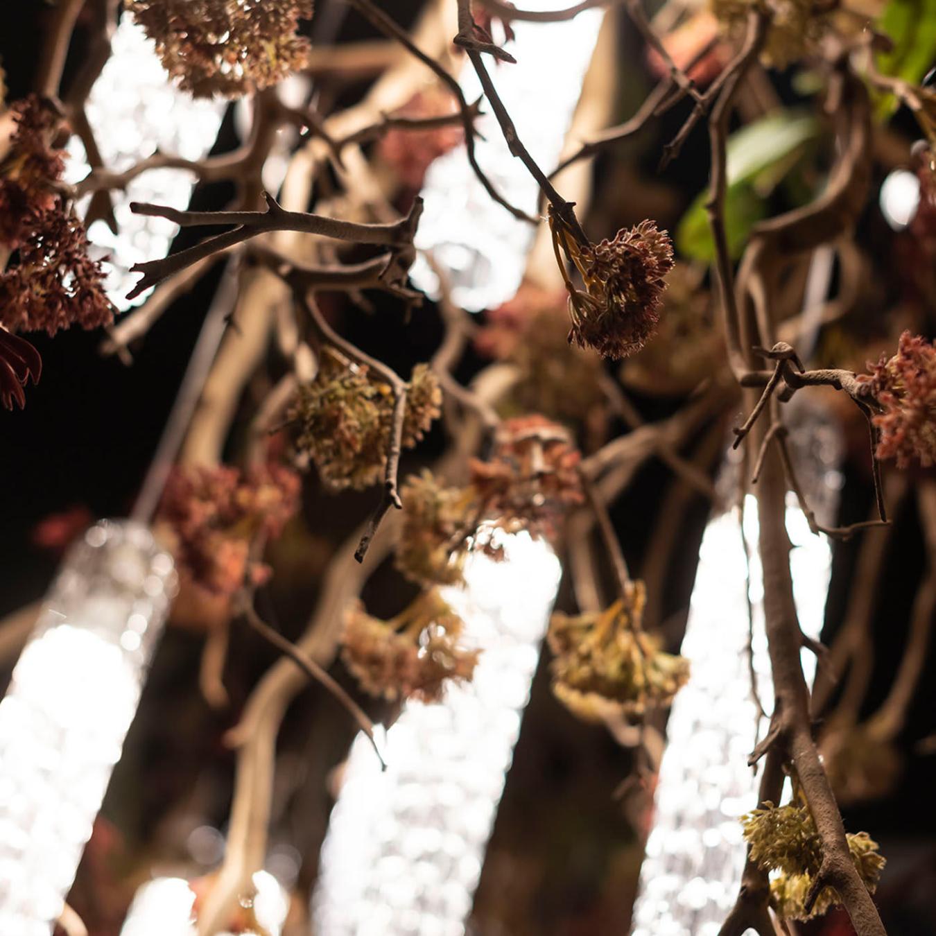 Manzanita kroonluchter