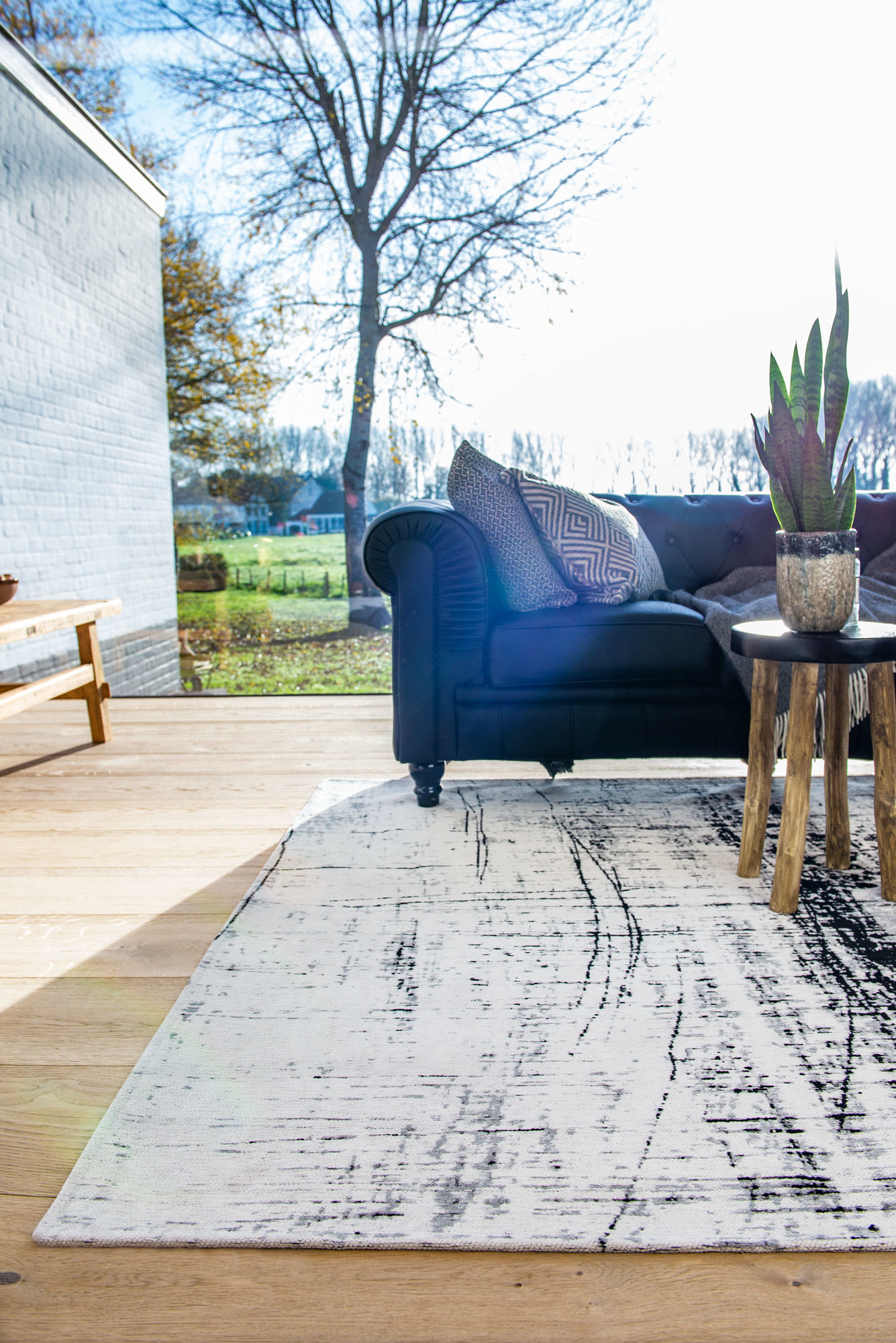 Black & White tapijt | Maat: 280 × 390 cm
