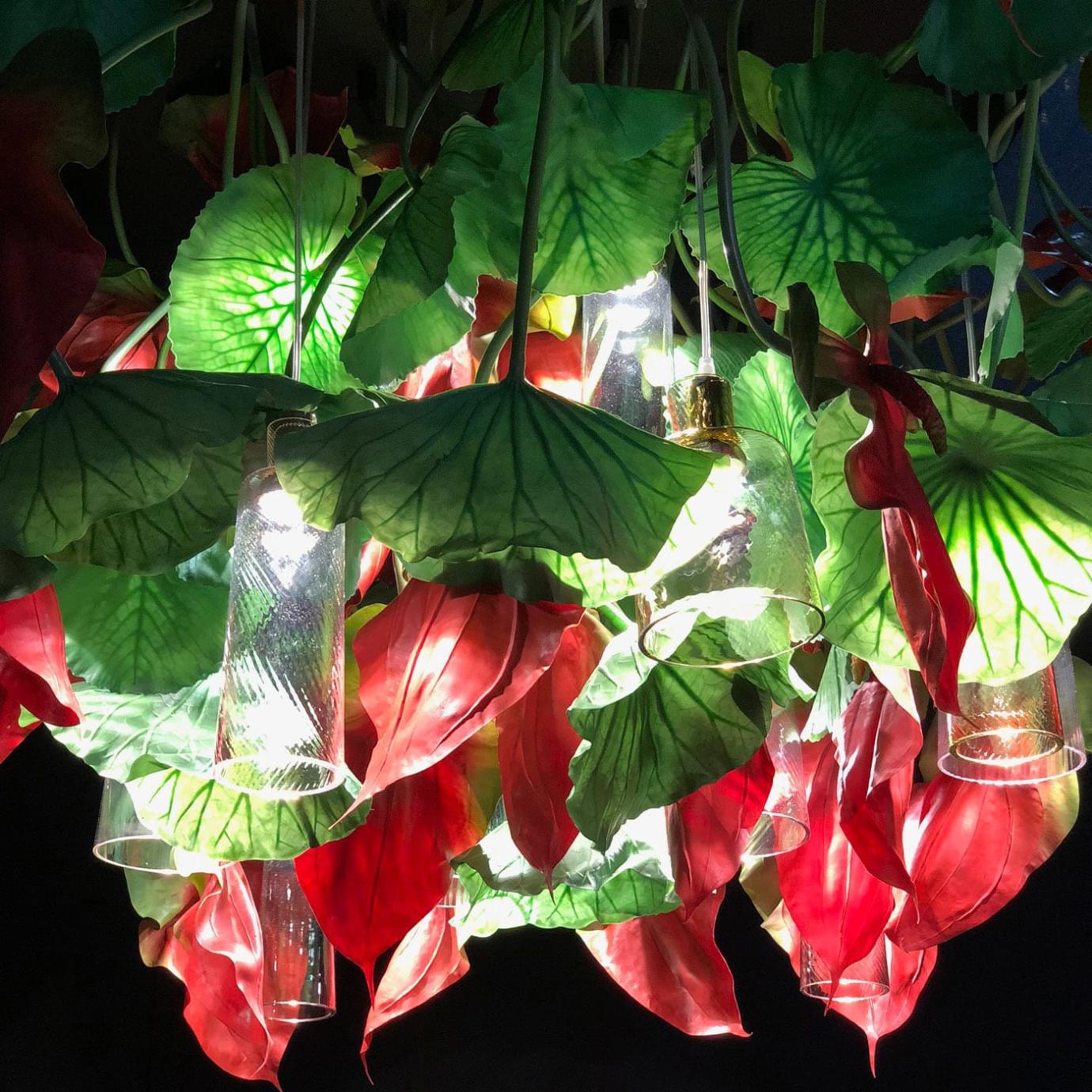 Anthurium kroonluchter