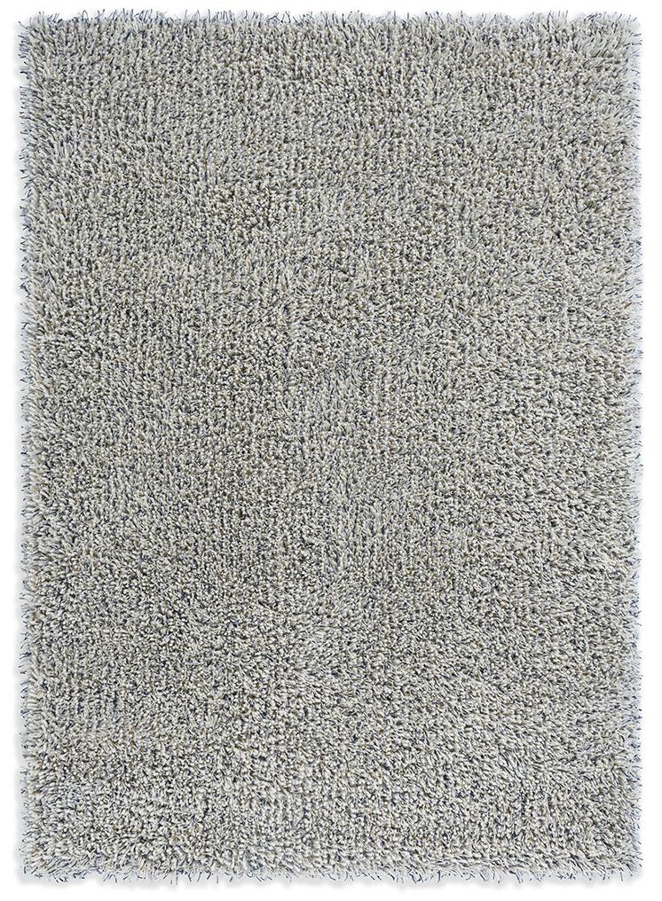 Ray ijzer shag tapijt | Maat: 200 × 300 cm