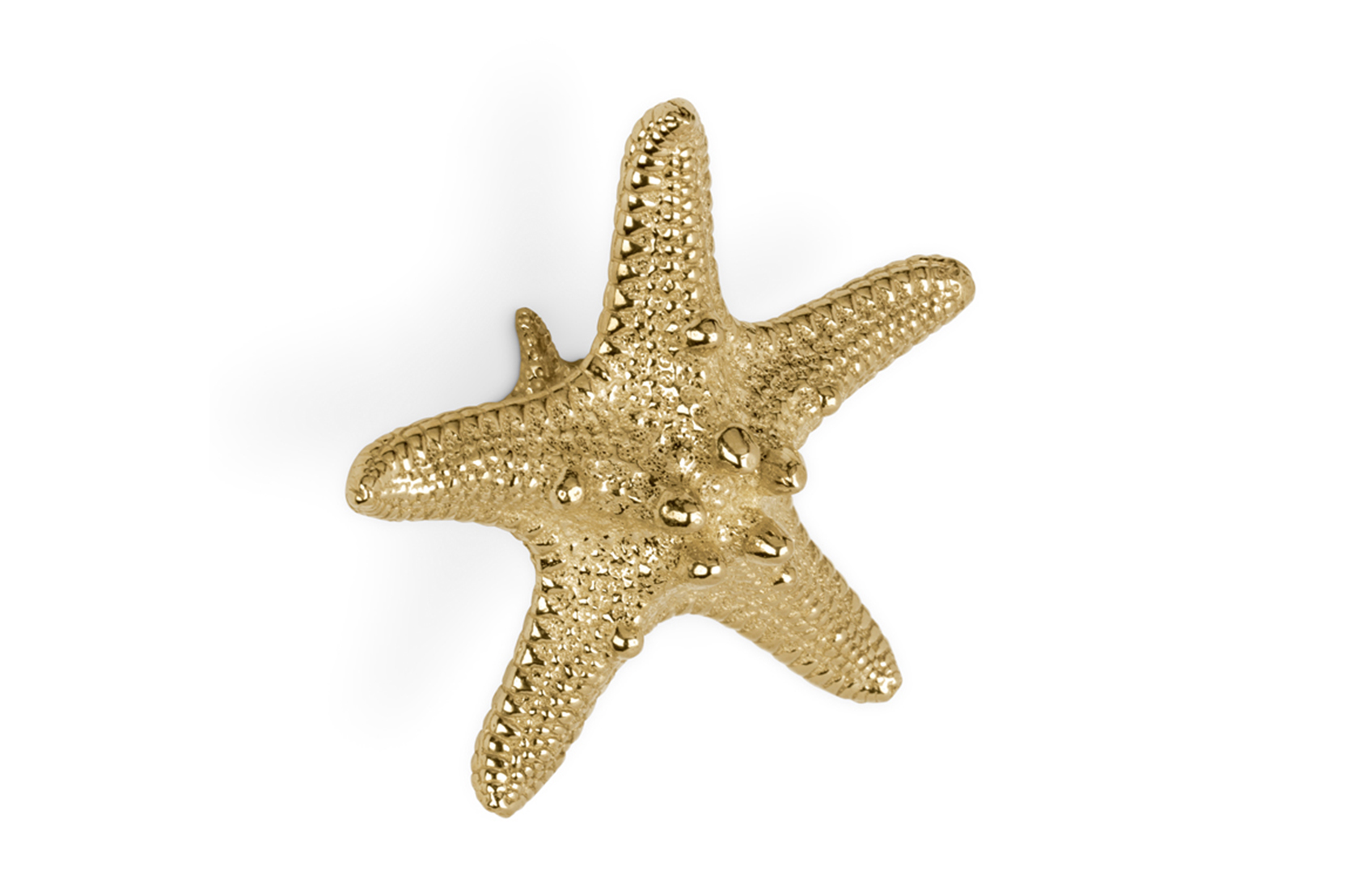 Starfish Linckia handgreep