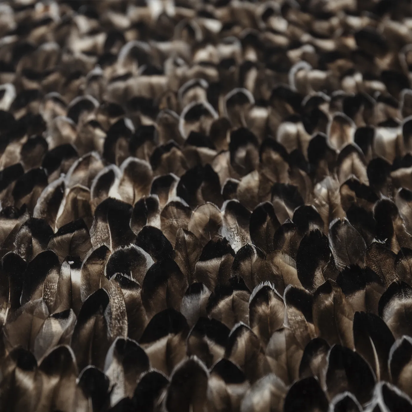 Mistral exotische veer blad eettafel