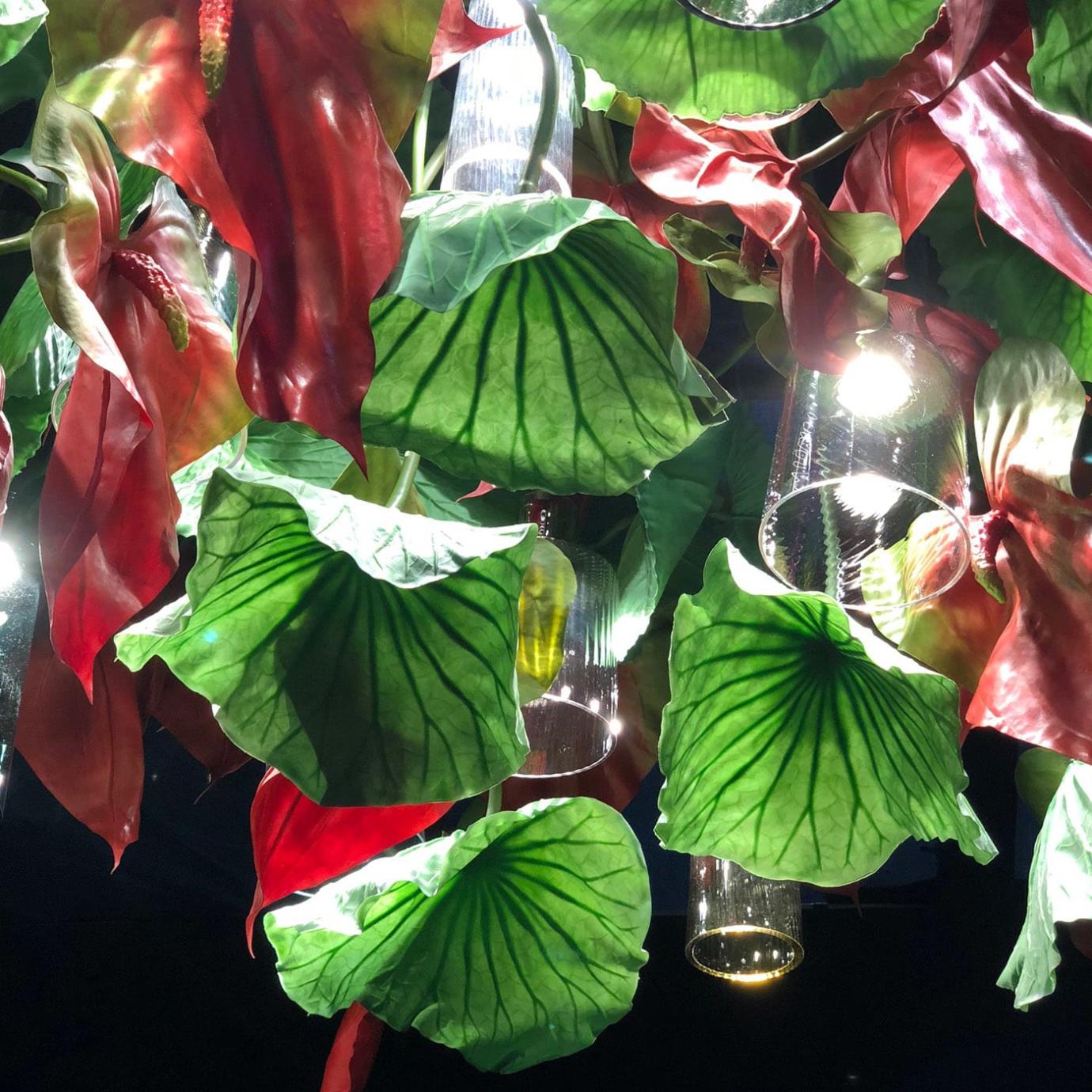 Anthurium kroonluchter