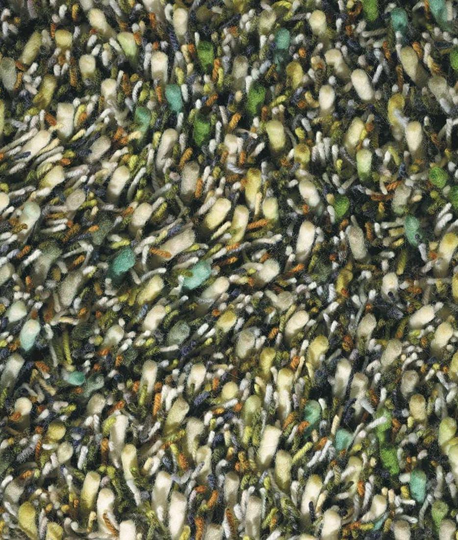 Spring shaggy tapijt | Maat: 200 × 300 cm