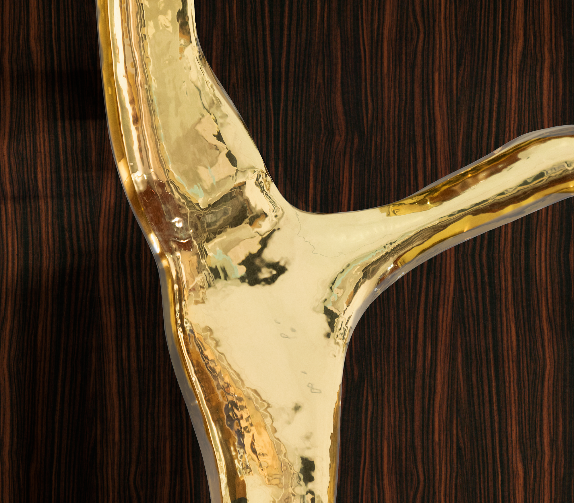 Fissure ebbenhout kast