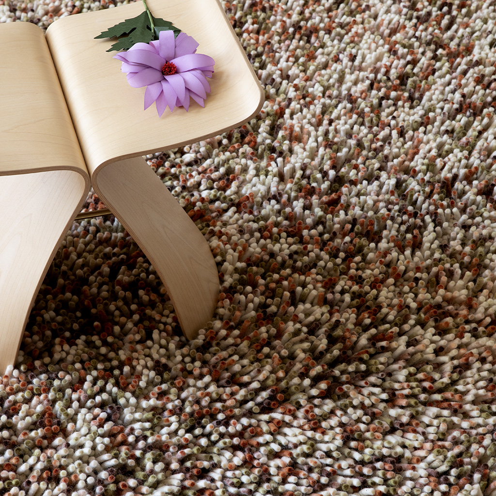 Shaggy vilt tapijt | Maat: 250 × 350 cm