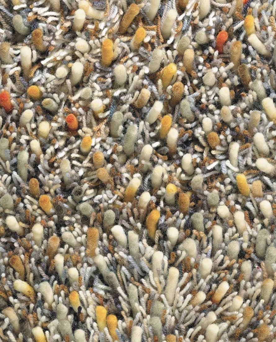 Spring shaggy tapijt | Maat: 170 × 240 cm