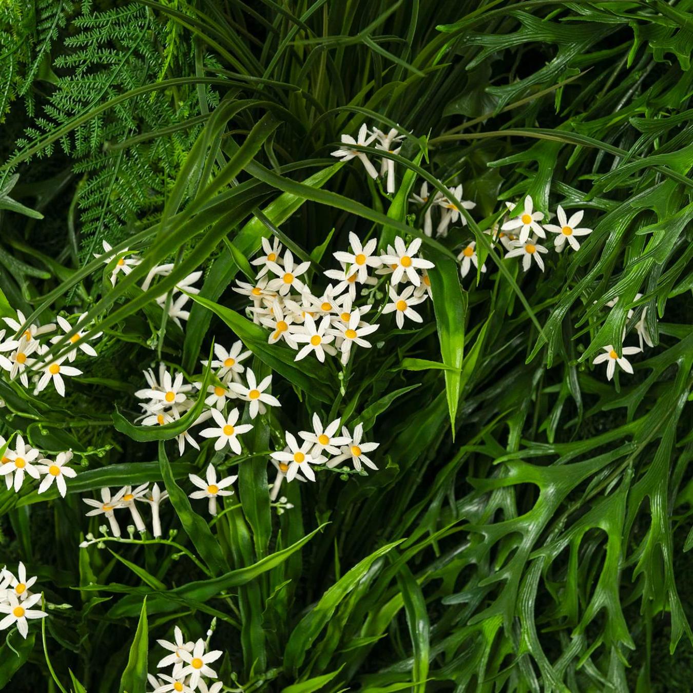 Meleda buitenste groenewandcompositie