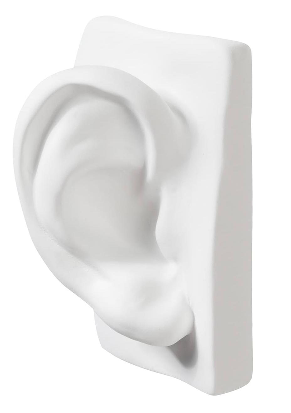David Ear sculptuur