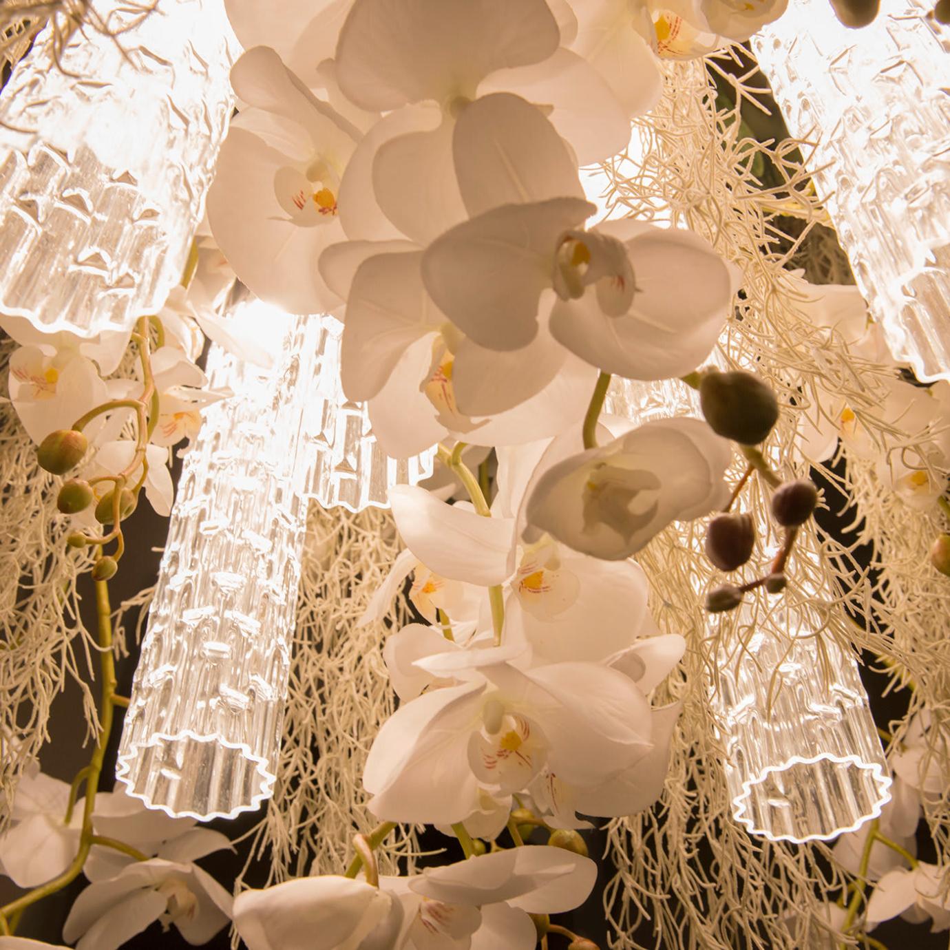 Phalaenopsis kroonluchter