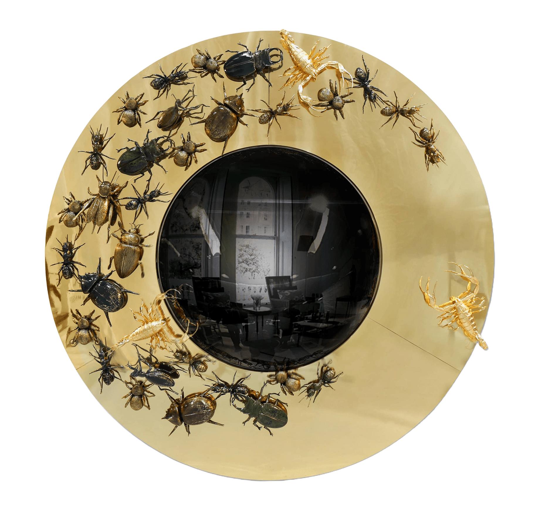 Convex Evolution spiegel