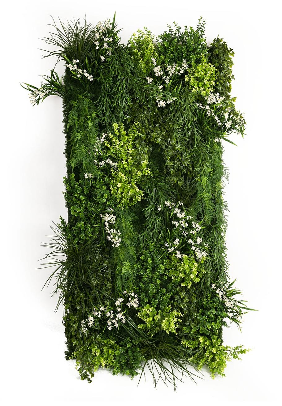 Meleda buitenste groenewandcompositie