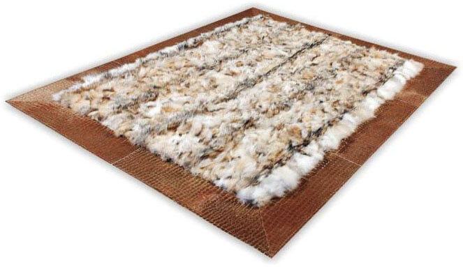 Coyote croco bont tapijt | Maat: 300 × 400 cm