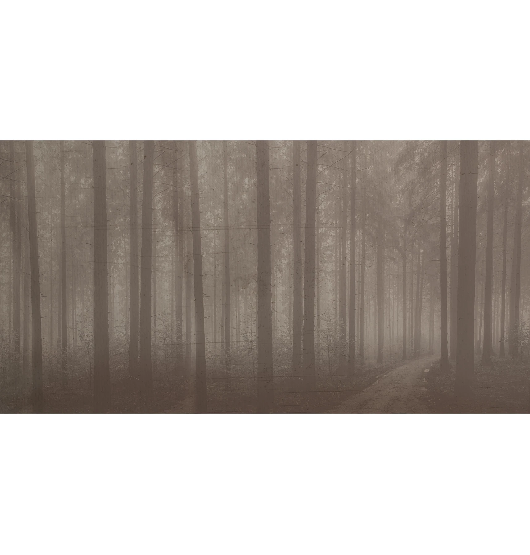 Night Forest behang