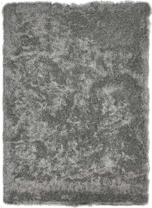 Aster Shaggy Grey tapijt | Maat: 140 × 200 cm