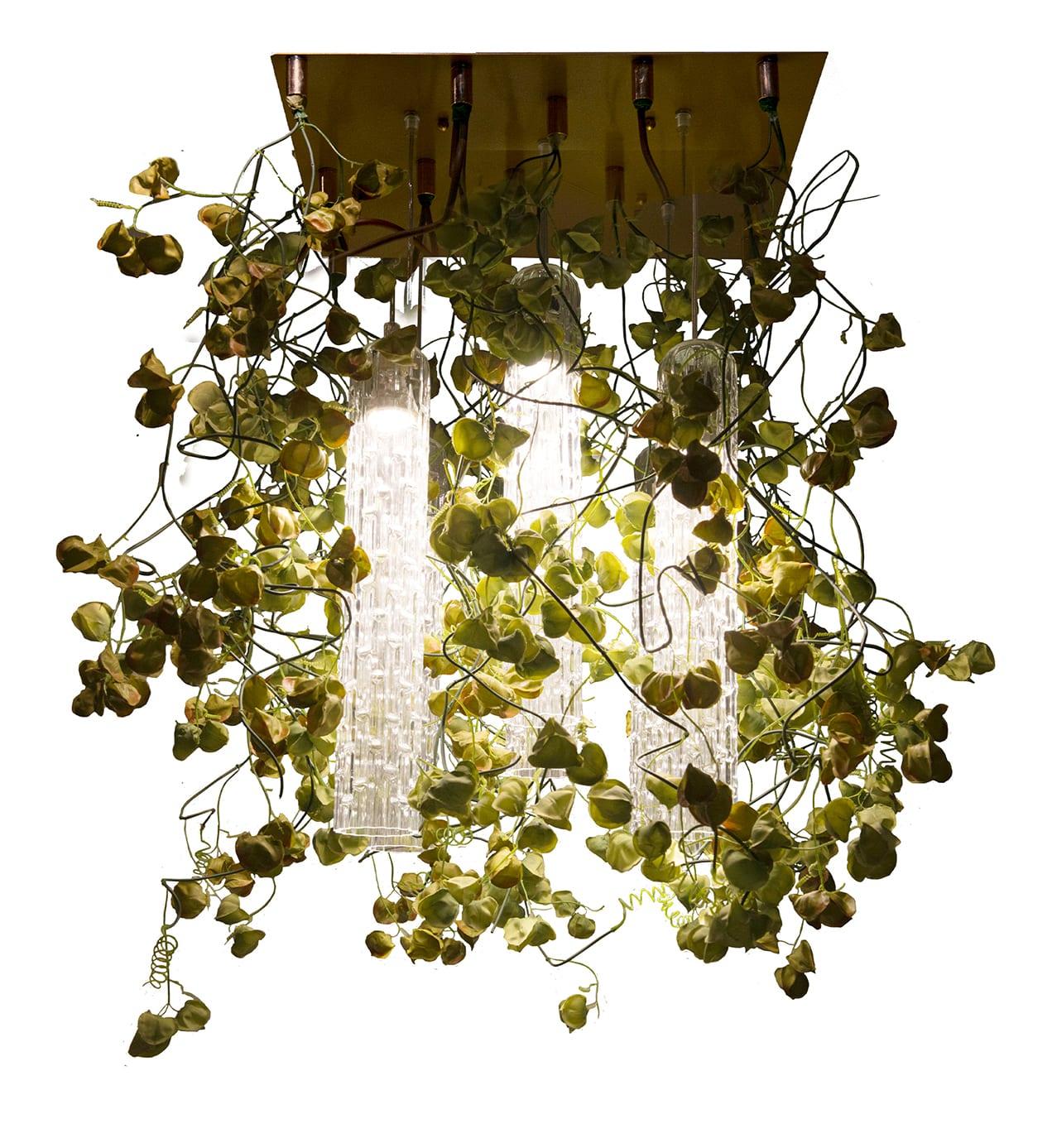 Physalis kroonluchter