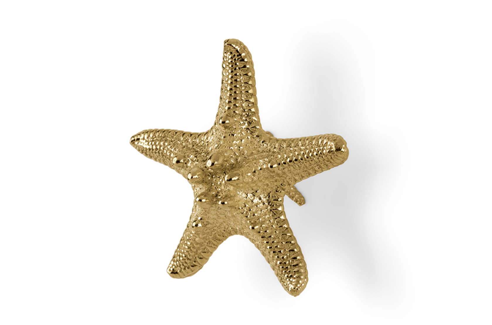 Starfish Linckia handgreep