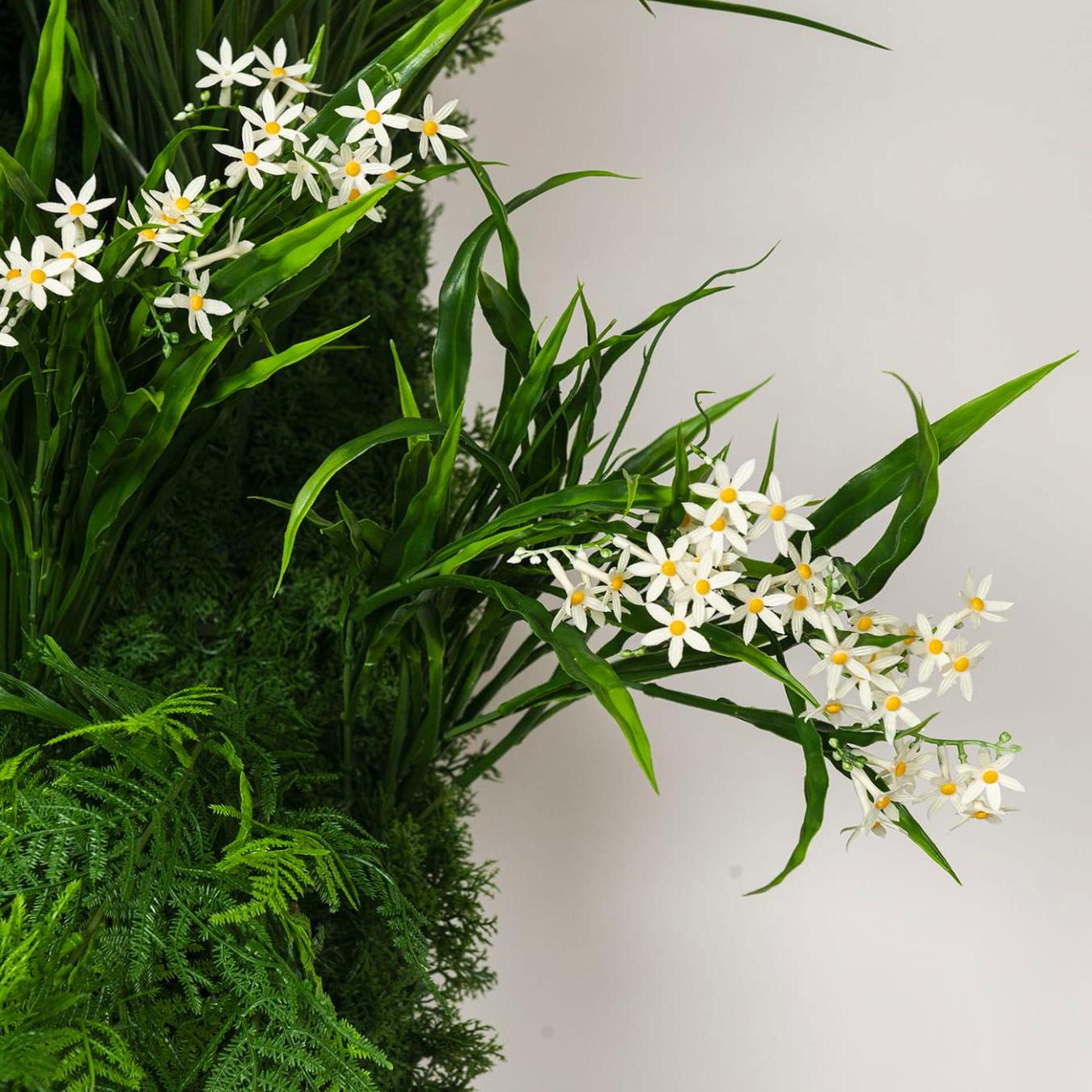 Meleda buitenste groenewandcompositie