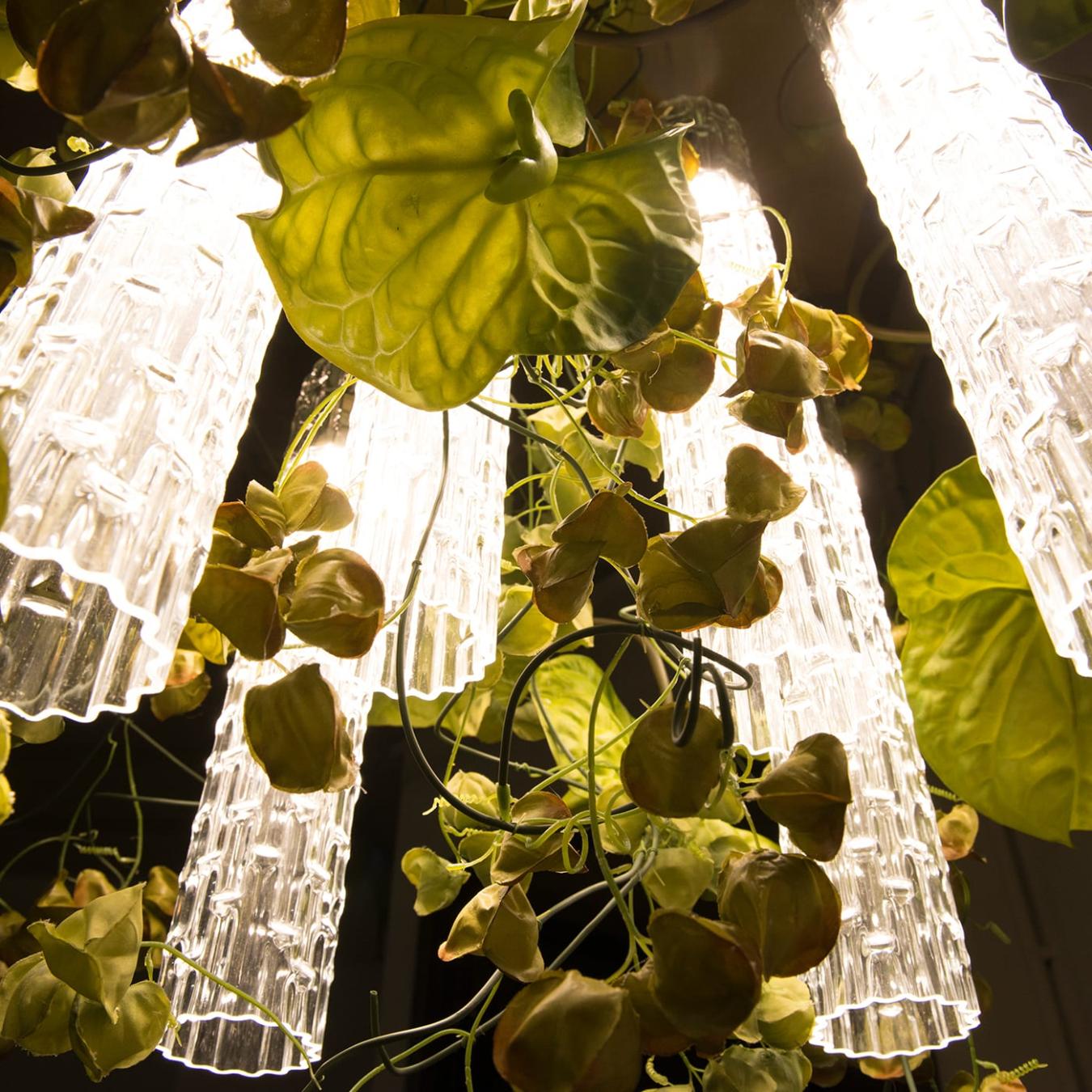 Physalis Anthurium kroonluchter
