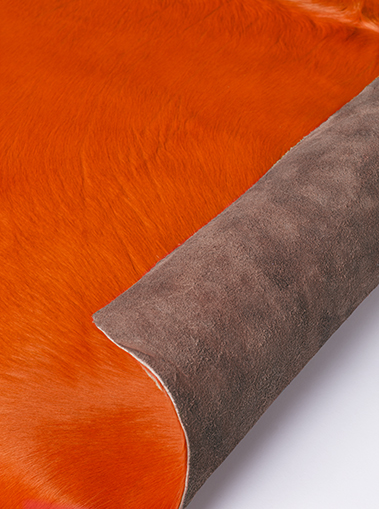 Oranje natuurlijke koeienhuid | Maat: 200 × 240 cm