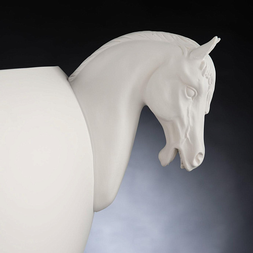 Horse komvaas