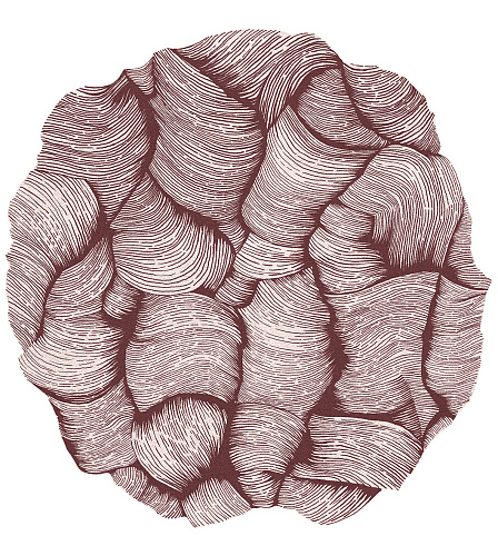 Designer rond kaneel tapijt