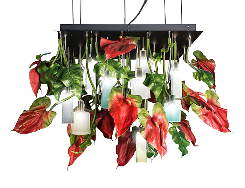 Anthurium kroonluchter