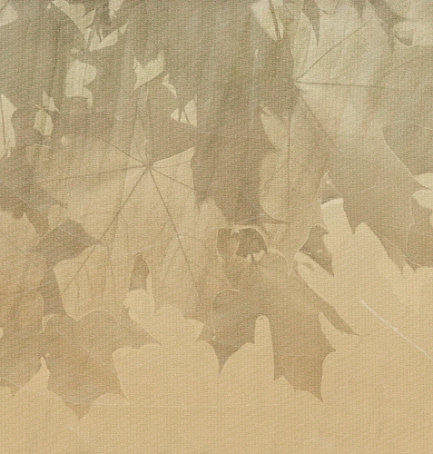 Creative Leaves behang
