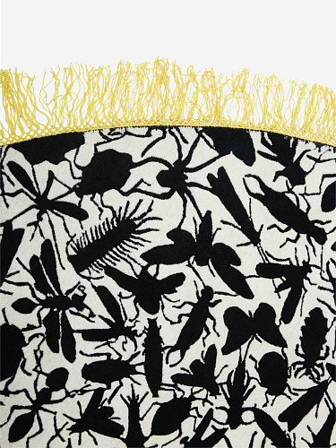 Insecten rond tapijt