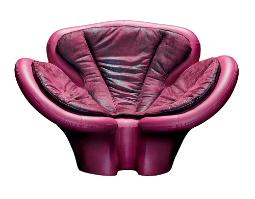 Pansé magenta fauteuil