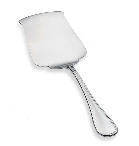 Verzilverde lasagne servergereedschap