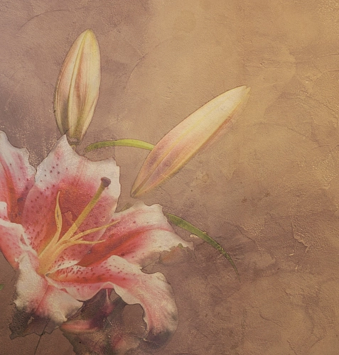 Amaryllis behang